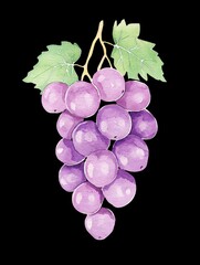 Fototapeta premium Watercolor Painting of Purple Grapes Still Life on Black Background Art Print