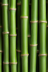 Bamboo stalks clustered together create a vibrant, lush green abstract background