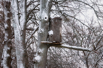 Authentic creative bee house, hive high on a tree.