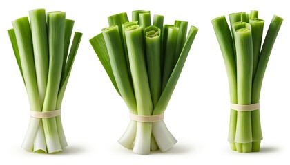 Obraz premium Fresh Green Onions, Spring Onions, Scallions - Bundled and Isolated