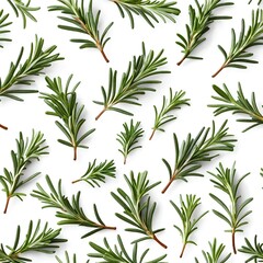 Rosemary Sprigs Pattern, Top View