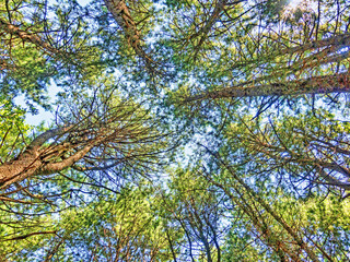 Hoengseong Lake Trail