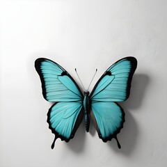 Fototapeta premium Teal Butterfly on White Background
