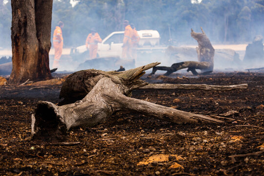 debris on foreground after a fire has been extinguished with firefighters in background