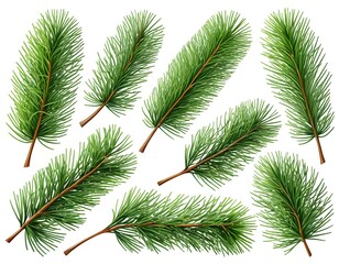 Obraz premium Collection of Realistic Pine Branches, Christmas Greenery