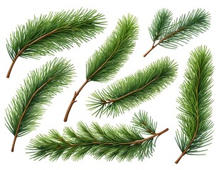 Obraz premium Collection of Realistic Pine Branches