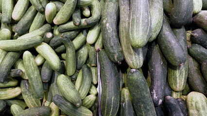 Fresh cucumbers stacked in market display, showcasing various sizes and shades of green, inviting healthy eating