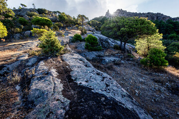 El sol en la peña Muñana