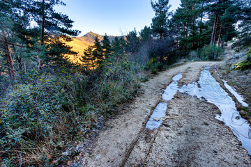 Camino con hielo y Pico Santuy tras los pinos