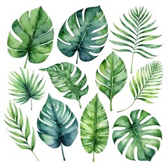 Watercolor Tropical Leaves Collection