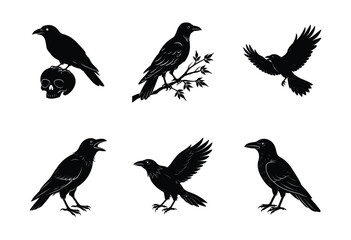 Collection of birds silhouette on white background