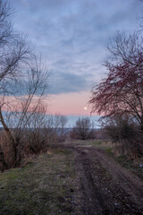 Beautiful blue hour on the lake, trees on the beach , sunrise over the lake with blue sky without clouds.Landscape photography on the pond , purple colors on the sky , trees and water , reflections 