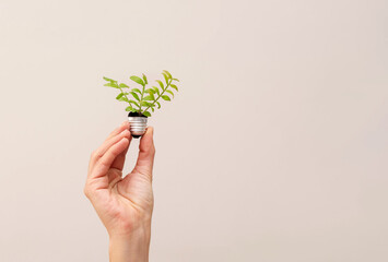 close up of Hand holding a light bulb base with a small plant, green energy and environmental...