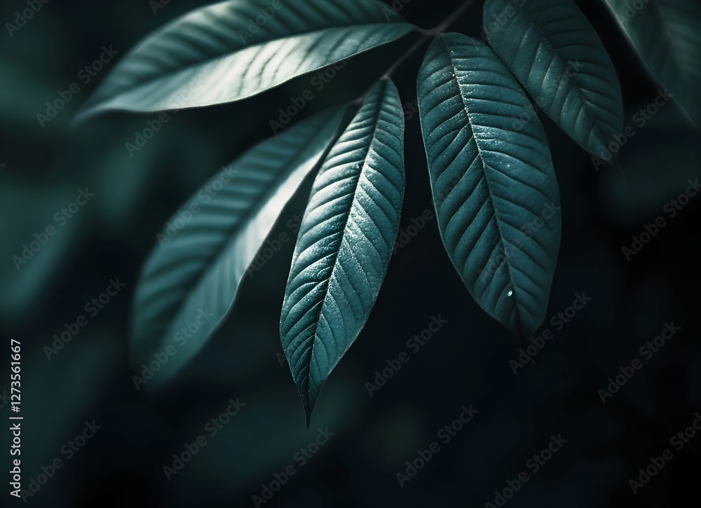 Poster dark green leaves dangling from branch, casting deep shadows and soft highlights in dense rainforest