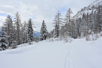 Winter forest panorama with snow covered road,  footprints and traces in a silent and lonely landscape during a ski tour in the popular Kaiserau, Admont, Austria