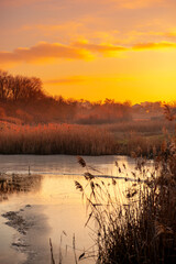 Beautiful sunrise on the pond , pond near the village .Red and orange sunrise in the sky , trees and houses , landscape on the lake with sunrise , reflactions on water 