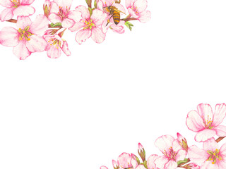 Naklejka premium Frame of hand-painted watercolor illustration of fruit tree blossom with bees on flowers. The theme of farming, spring, bees, apiary, honey. Ideal for seasonal holidays, weddings, children's themes.