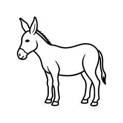 donkey isolated on white background