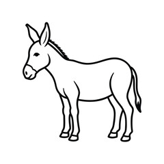 donkey isolated on white background