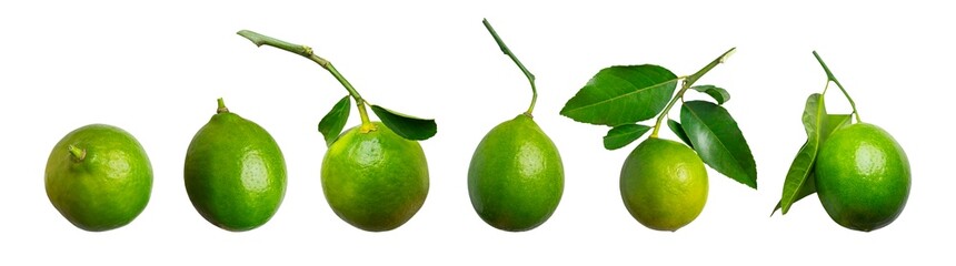 Green lemons with leaves isolated on white background. With clipping path. Cut out lemon, lime for advertising, packaging, design, mock-up. Set of citrus fruits of various shapes
