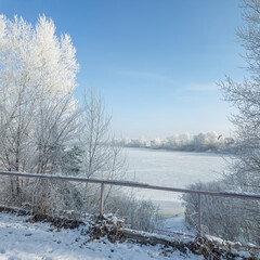 winter landscape. road in snow. tall trees in frost. natural winter landscape. forest in snow. ice...