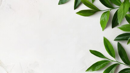 Fresh green leaves on a light background.
