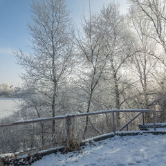 winter landscape. road in snow. tall trees in frost. natural winter landscape. forest in snow. ice...