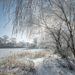 winter landscape. road in snow. tall trees in frost. natural winter landscape. forest in snow. ice...