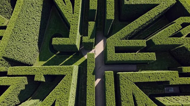 Aerial view of a lush green maze, showcasing intricate pathways. The video captures the geometric beauty and complexity from above.