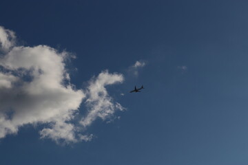 飛行機