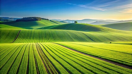Obraz premium Serene Sunrise Over Rolling Green Fields, a Vibrant Display of Agricultural Terraces Under a Clear Sky