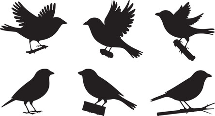 Obraz premium Sparrow silhouettes