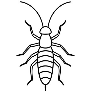 Minimalist Earwig Line Art Vector