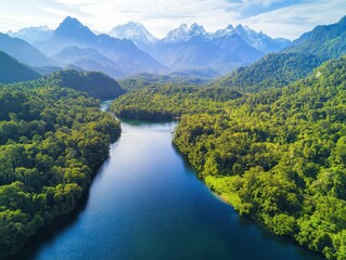 Fototapeta premium Serene river flows through lush green forest with mountains backdrop for travel, nature or environment