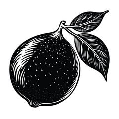 Lemon Vector Art Illustration