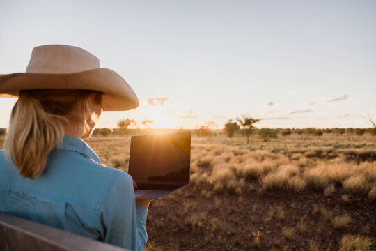 Female facing away looking at computer in a paddock at sunset