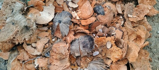 Close-up of a pile of coconut husks and shells, displaying their fibrous and hard textures, commonly used in various applications like coir production, mulch, or as a fuel source