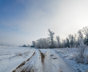winter landscape. road in snow. tall trees in frost. natural winter landscape. forest in snow. ice...