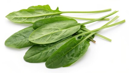 Fototapeta premium Fresh Spinach Leaves on White Background