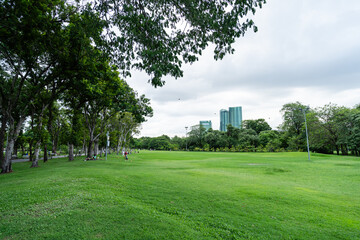 Expansive Green Lawn in Serene Urban Park with City Skyline Backdrop