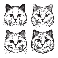 Four black and white outline drawings of cat manes, breeds and features. Icon, utline, isolated on white background, vector
