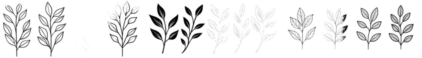 Modern illustration featuring simple leaves and botanical branches with stem and foliage in monochrome © Andrei
