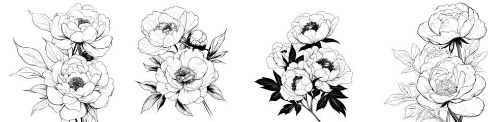 A delicate hand-drawn floral arrangement featuring blossoming flowers and budding branches, ideal for decorative purposes, including invitations, greeting cards, posters, and flyers, as well as