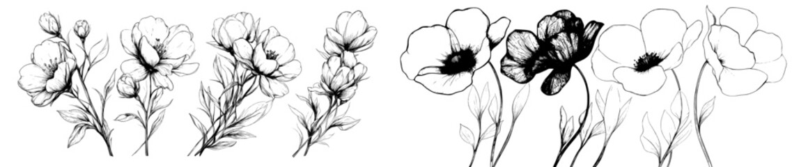 A collection of field flowers is depicted in a modern drawing featuring wild plants set against a white background, with monochrome line floral elements and a hand-drawn botanical illustration style