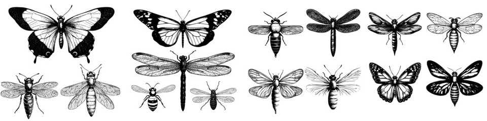 The illustration features insects such as butterflies, dragonflies, and bumblebees, presented in a simple hand-drawn line art style using beige, ochre, and brown ink, as part of a modern isolated EPS © Andrei