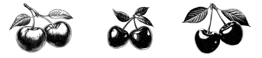 Two cherries are featured alongside a leaf in an illustration that has been hand drawn in a vintage style reminiscent of engravings © Andrei