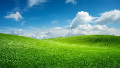 Fototapeta premium idyllic green wavy field and blue sky with clouds background