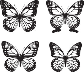 Black-Veined White Butterfly Vector | Elegant Insect Illustration