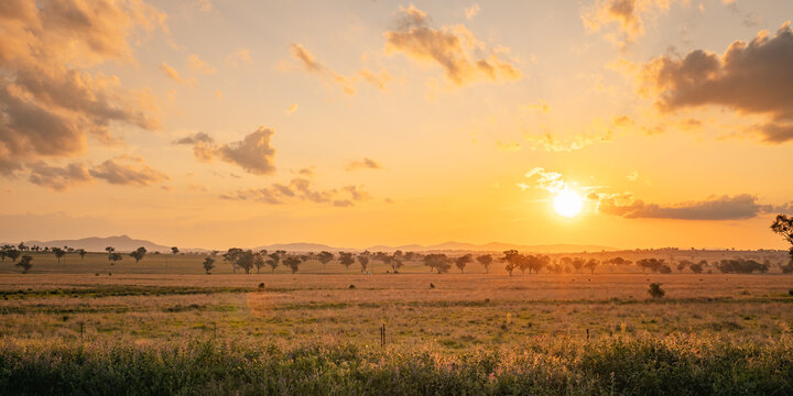 Vibrant sunset over paddocks in the outskirts of Tamworth, NSW
