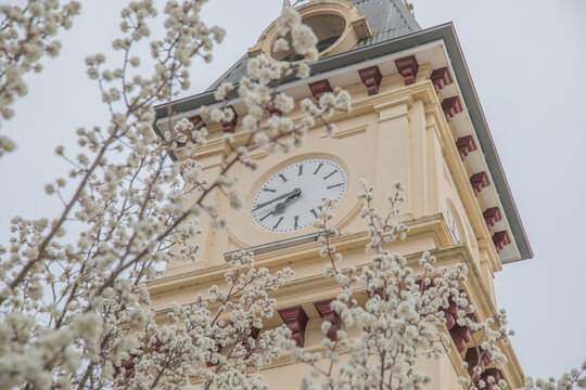 Spring blossoms and a small town post office building